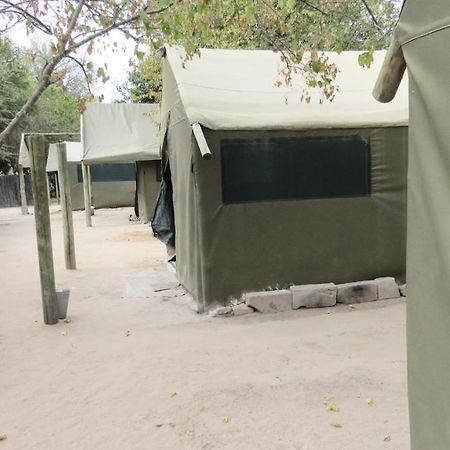 Motsebe Backpackers Hotel Maun Exterior foto
