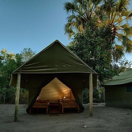 Motsebe Backpackers Hotel Maun Exterior foto