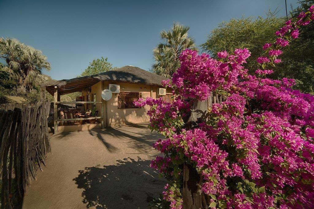 Motsebe Backpackers Hotel Maun Exterior foto