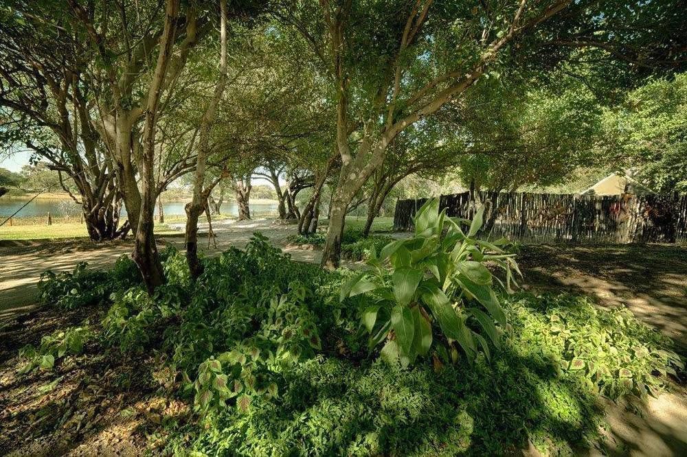 Motsebe Backpackers Hotel Maun Exterior foto