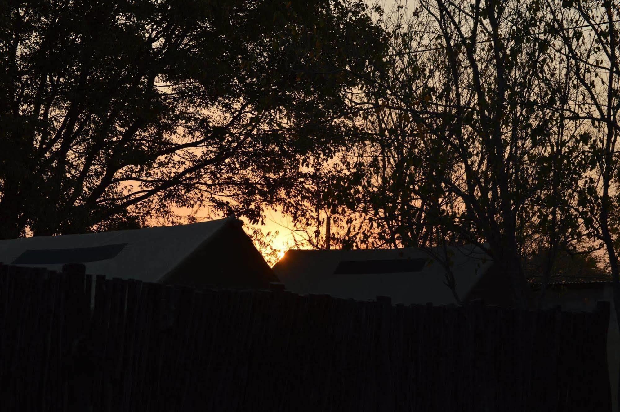 Motsebe Backpackers Hotel Maun Exterior foto