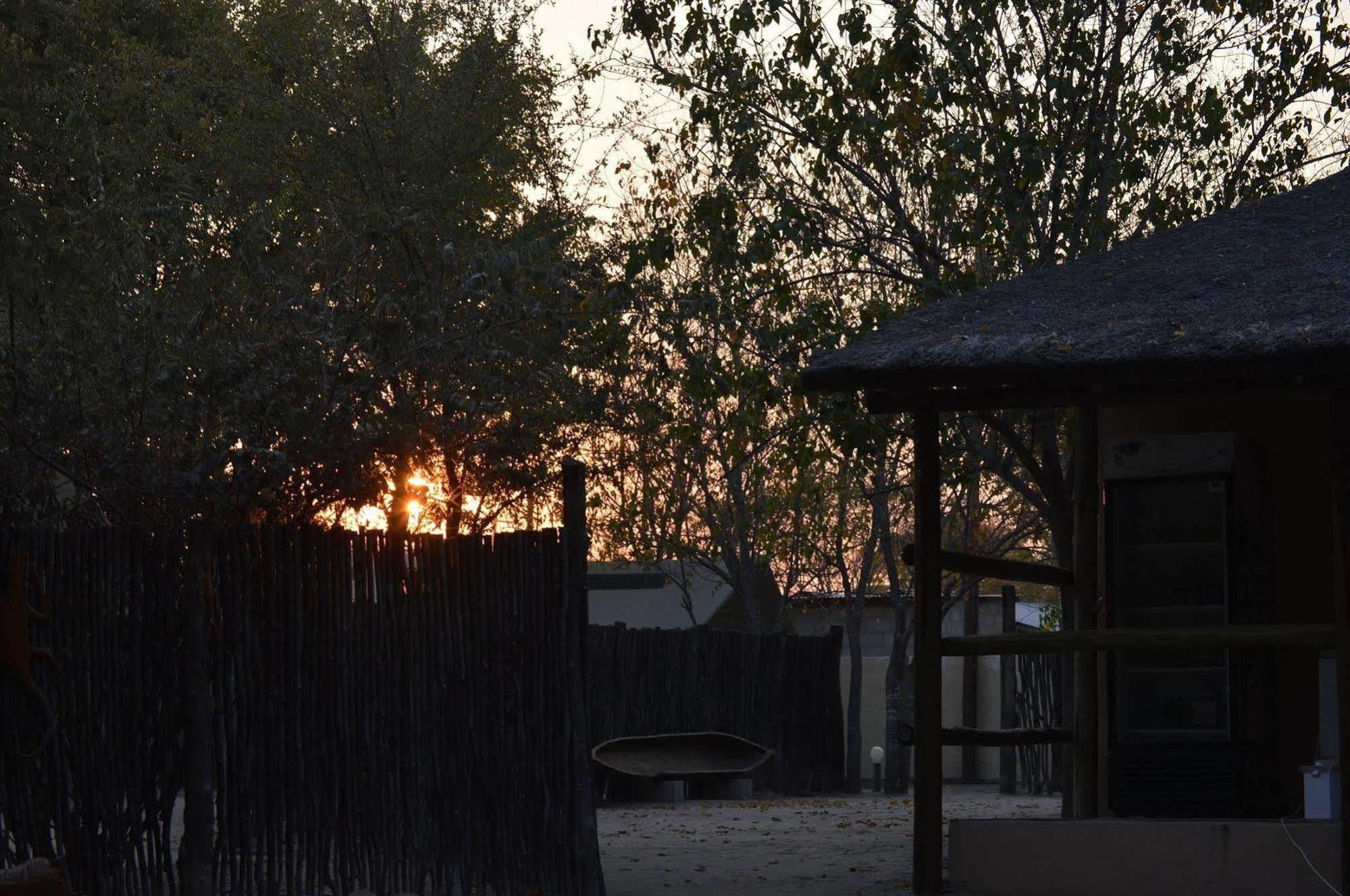 Motsebe Backpackers Hotel Maun Exterior foto