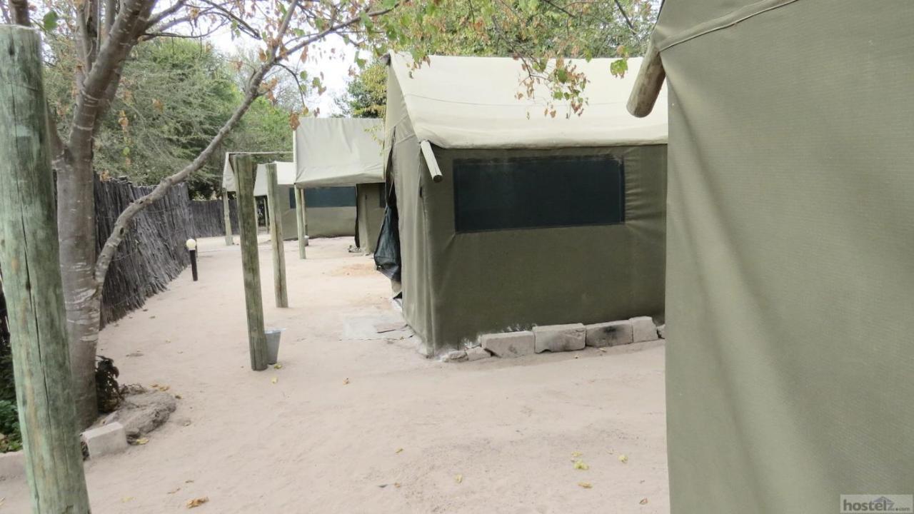 Motsebe Backpackers Hotel Maun Exterior foto