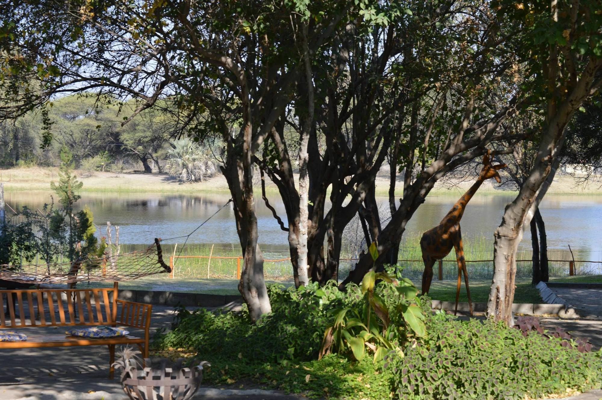 Motsebe Backpackers Hotel Maun Exterior foto